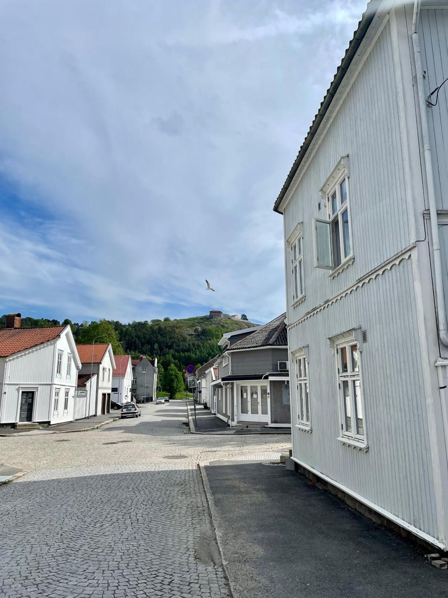 Lägenhet Sentral Og Fargerik Bygardsleilighet Halden